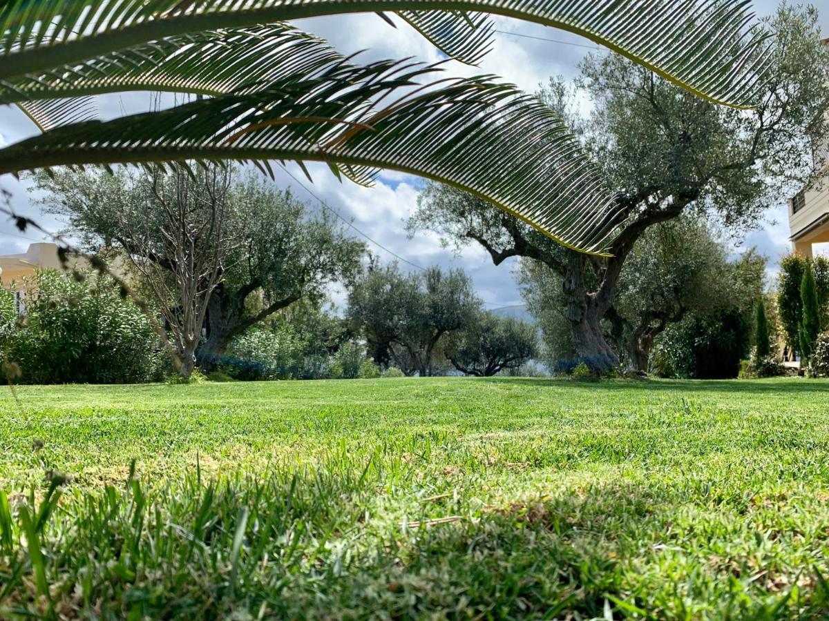 Aggelos And Thisbe Chania Suburbs Sea View Guest House Bagian luar foto