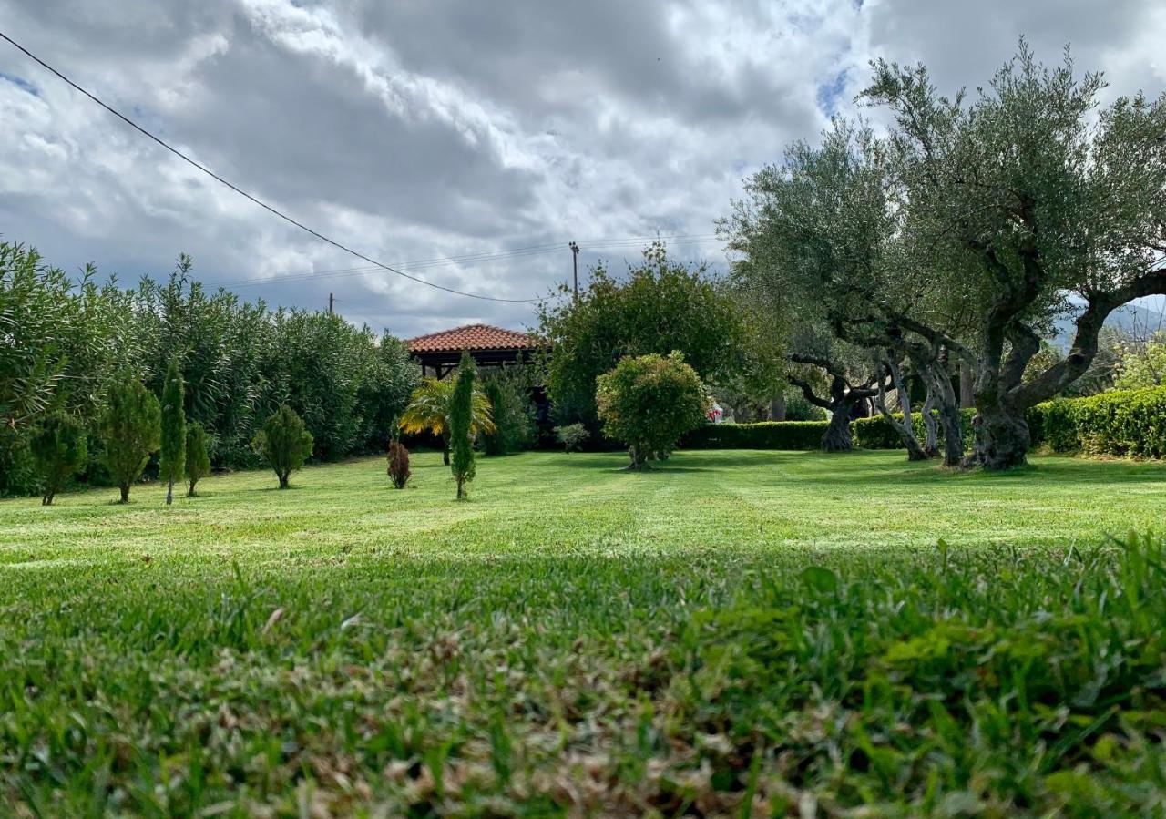 Aggelos And Thisbe Chania Suburbs Sea View Guest House Bagian luar foto