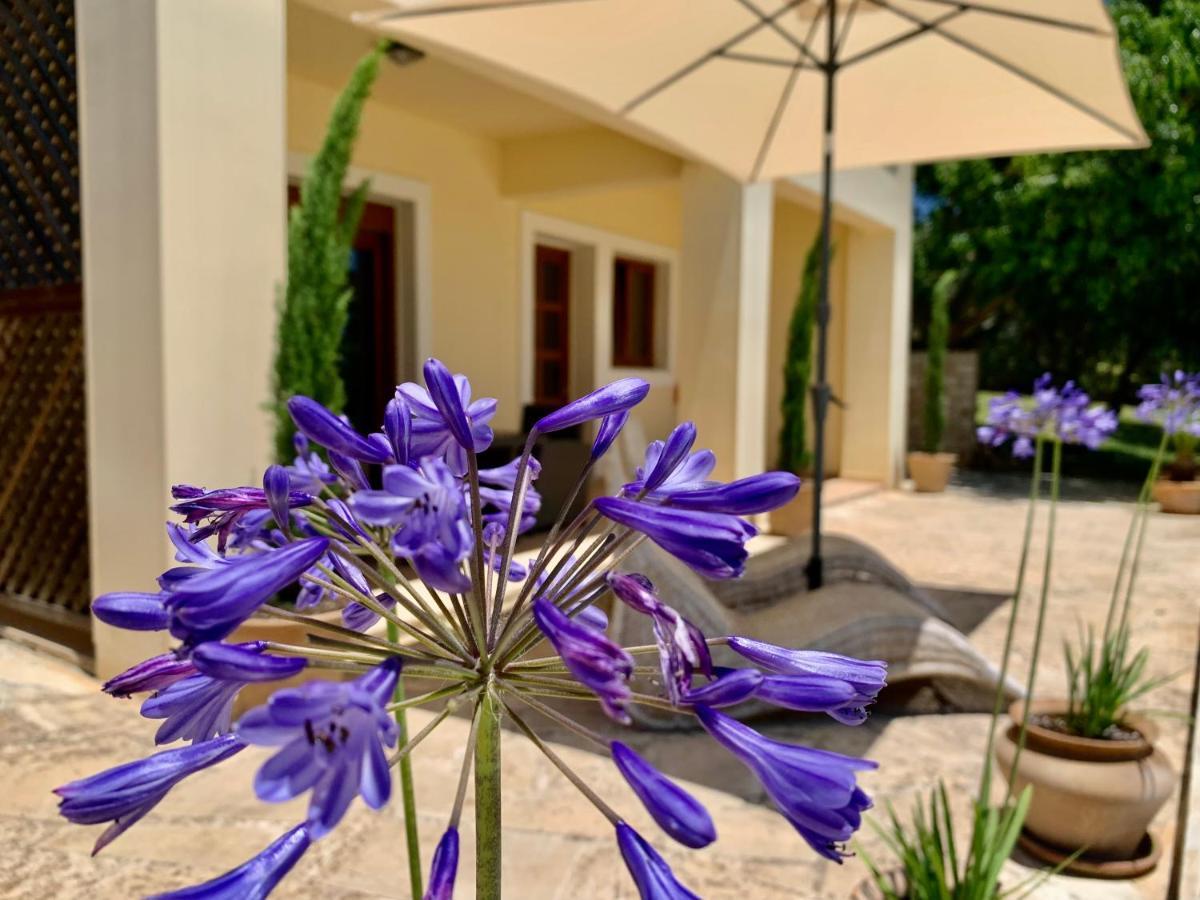 Aggelos And Thisbe Chania Suburbs Sea View Guest House Bagian luar foto